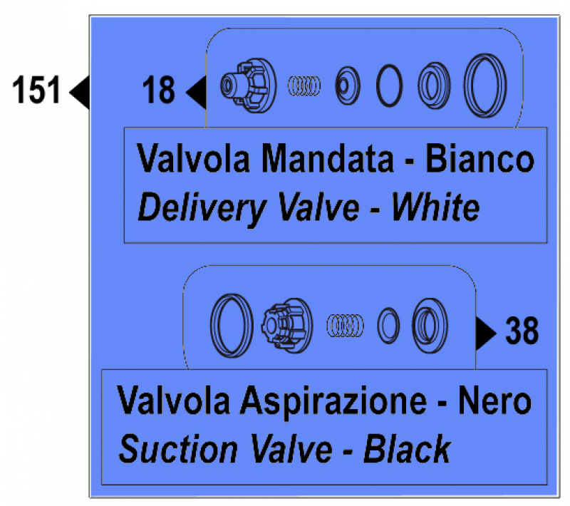 Valve Assembly Kit for Comet BPS 300