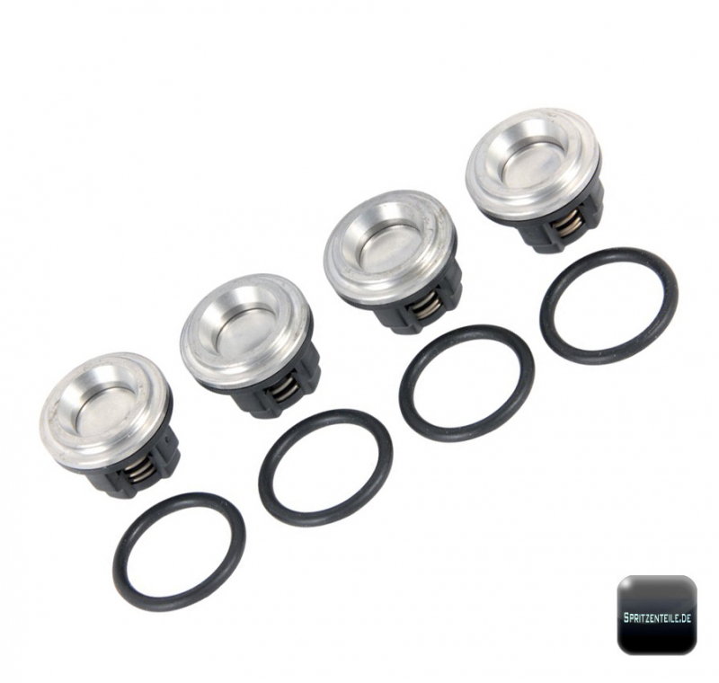 AR Valve Kit 1917 for pumps AR30AP | AR30