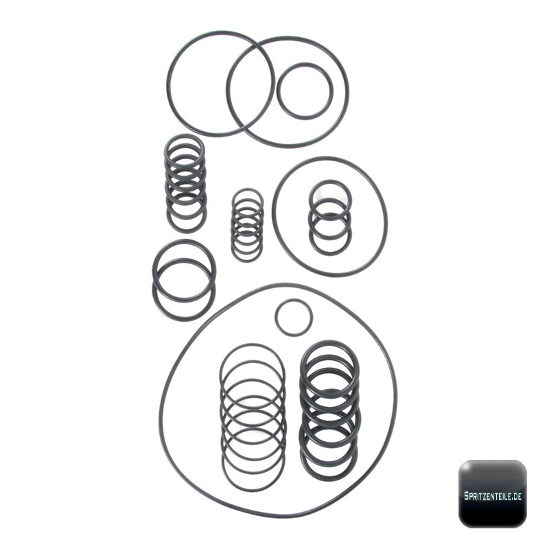 Annovi Reverberi Kit 1984 – O-Ring-Satz