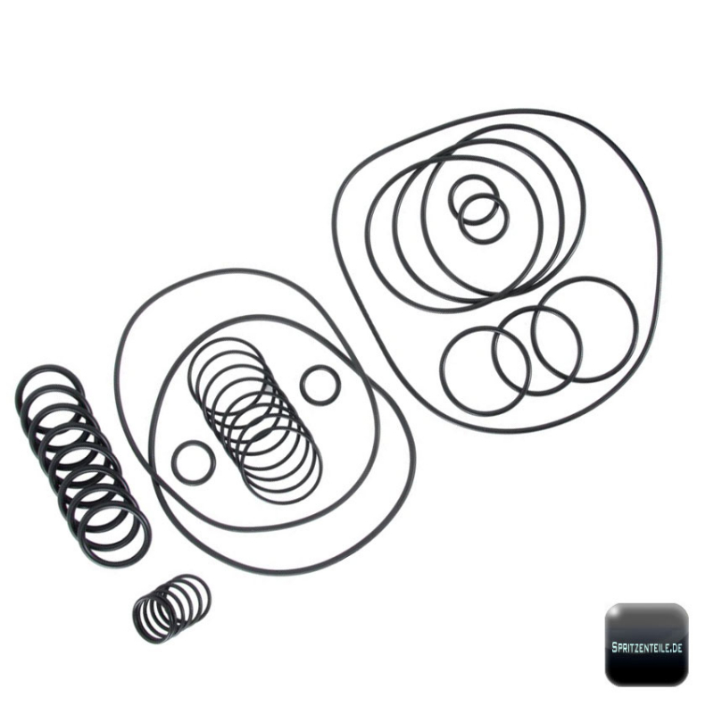 Annovi Reverberi O-Ring Kit 2378