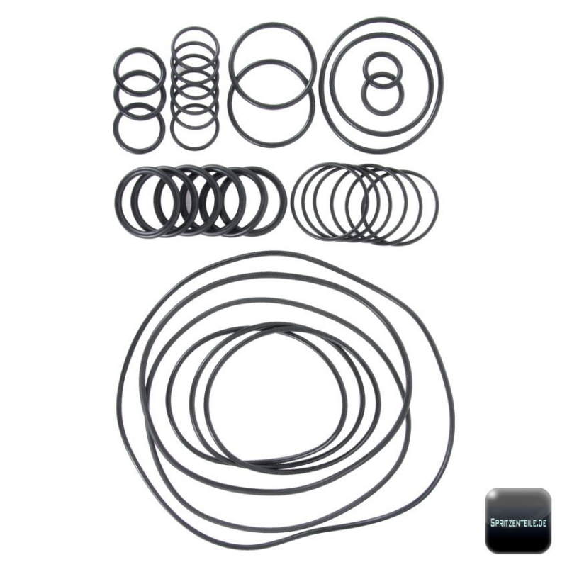 Annovi Reverberi O-Ring Kit 2429