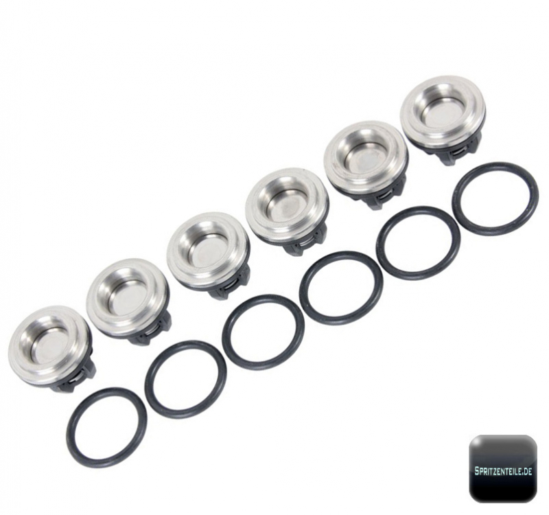 AR Valve Kit 2445 for pumps Annovi Reverberi