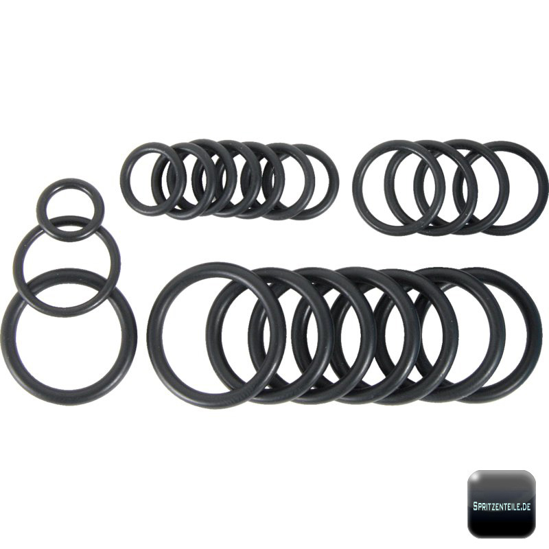 Annovi Reverberi Kit 2465 – O-Ring-Satz