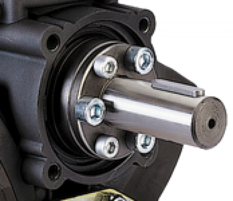 Comet pump BP 281 shaft ø 30 m