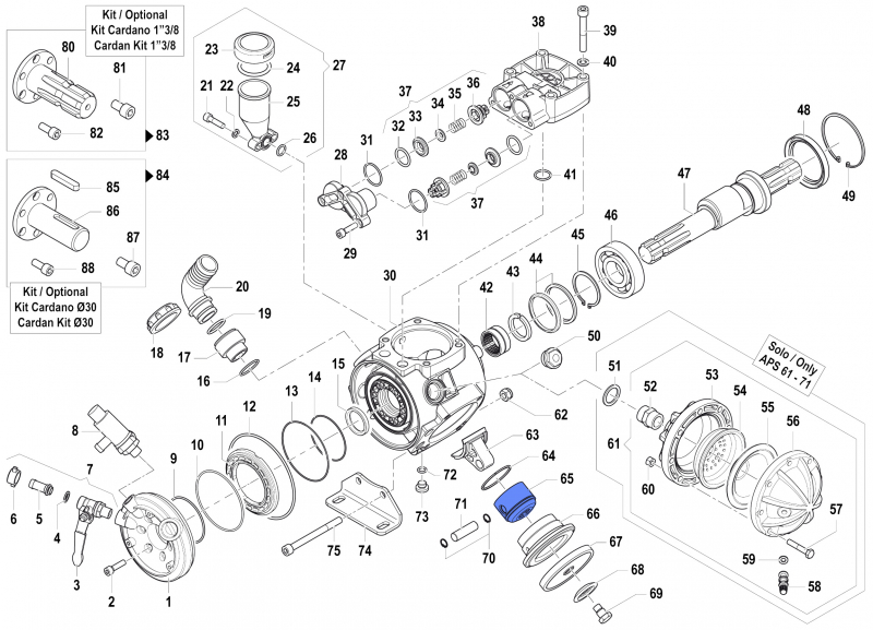 Piston 2409006700 for Comet Pumps APS 51-61-71