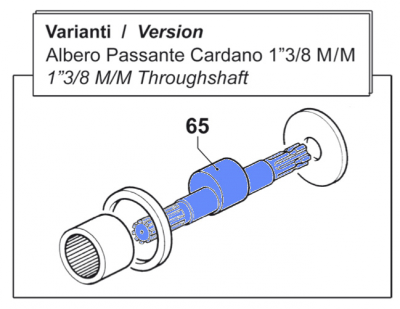 Throughshaft 0001014100 for Comet BP 205 K