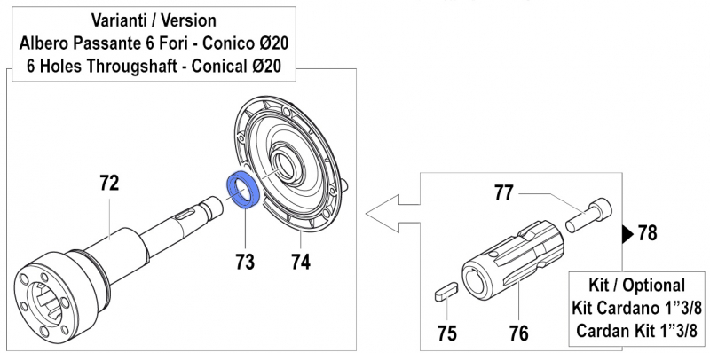 Oil Seal 0019011000 for Comet Pumps APS 31-41