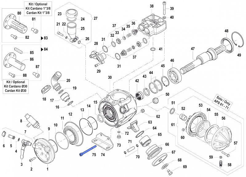 Screw 3609004900 for Comet Pumps APS 51-61-71