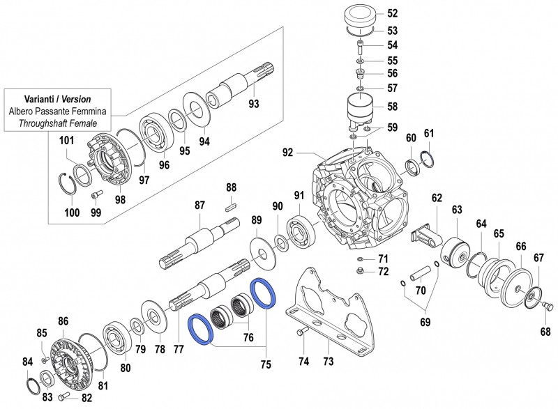Connecting Rod Ring 0010002700 for Comet BPS 300