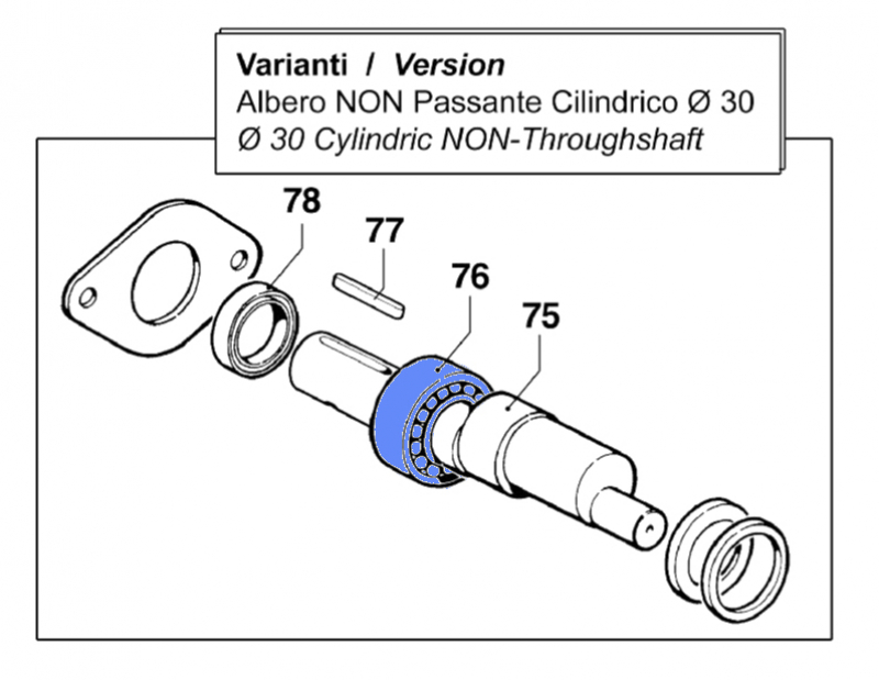 Ball bearing 04380016 for Comet BP 105 - 125 pumps