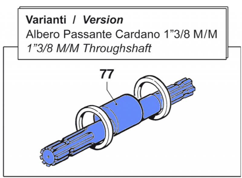 Throughshaft 0001041200 for Comet BP 151-171 K