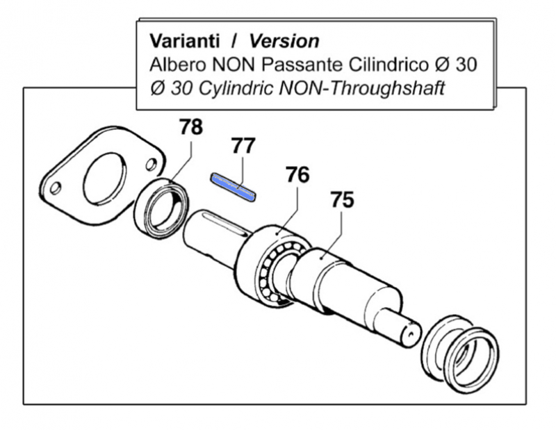 77 Key 16020018 for Comet BP 105 - 125 pumps