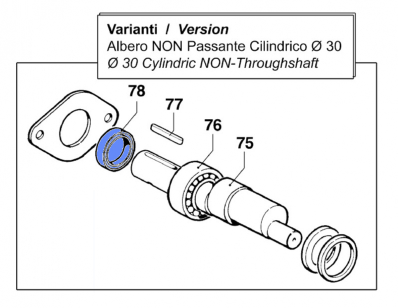 Oil seal for Comet BP 125 pumps