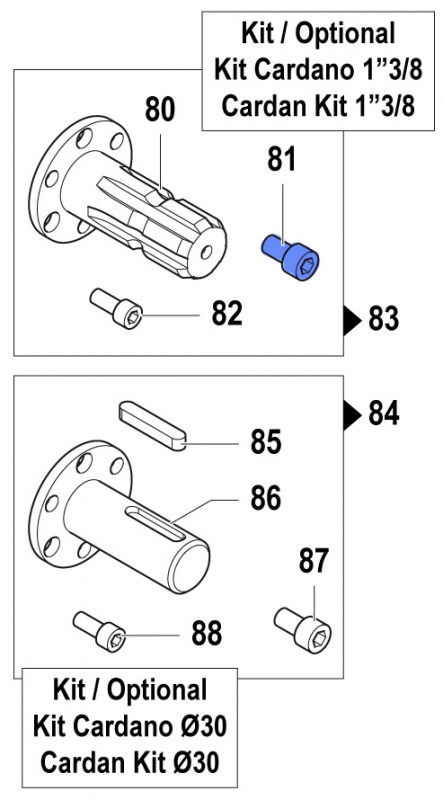 Screw 3609002600 for Comet Pumps APS 51-61-71