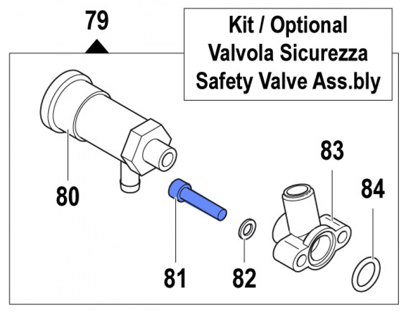 Screw 3609016500 for Comet Pumps APS 31-41