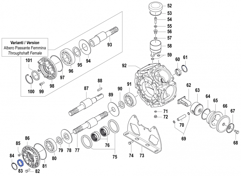 Oil Seal 0019009100 for Comet Pump BPS 300