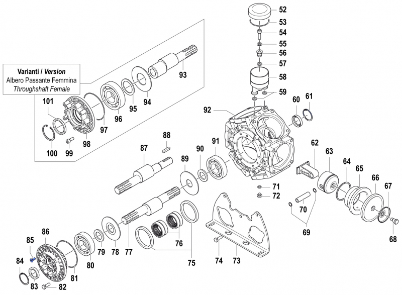 Screw 3621001500 for Comet Pump BPS 300