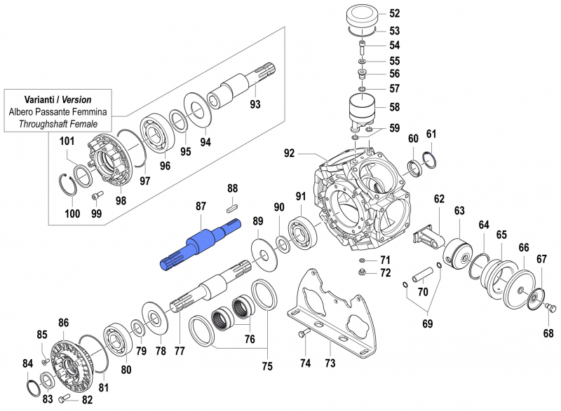 Throughshaft 0001068300 for Comet Pump BPS 300