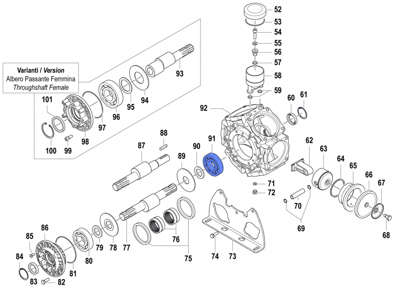 Ball Bearing for Comet BPS 300