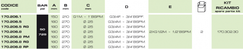 Braglia Control unit 1702068