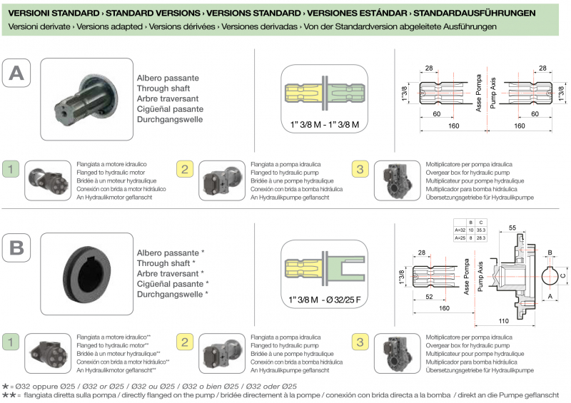 Comet Diaphragm pump BPS 300 up to 20 bar - 290 PSI