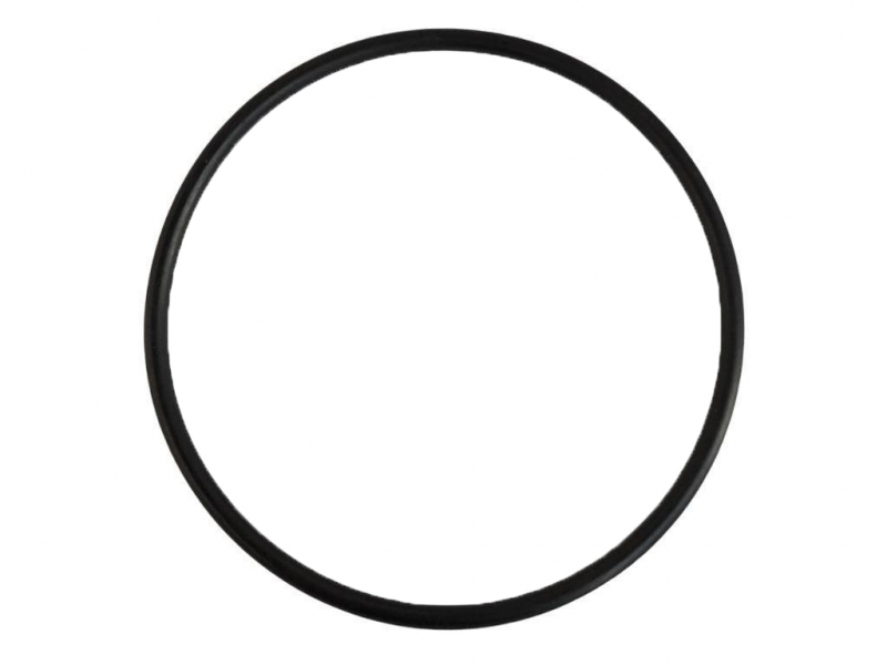 Rau O-Ring RG00007282