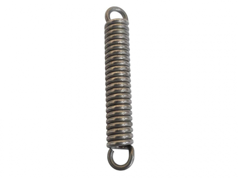 Rau switch spring RG00011454