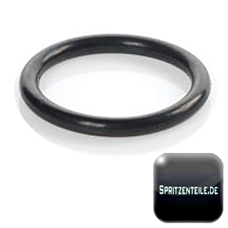 Rau O-Ring RG00058723 KVERNELAND