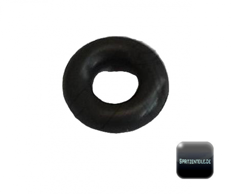 Rau O-Ring RG00039979