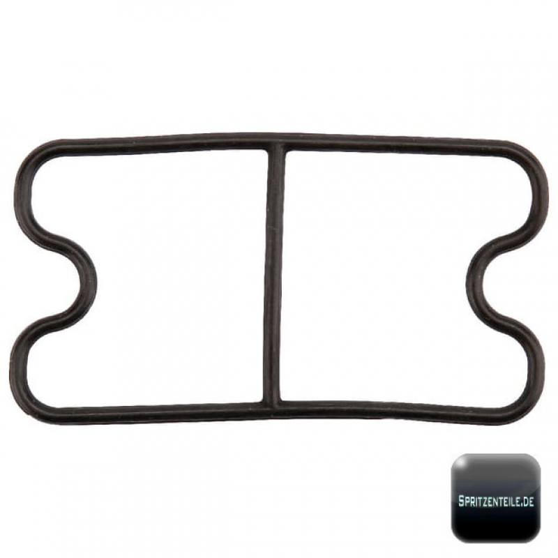 Rau Manifold Gasket EVD RG00047089