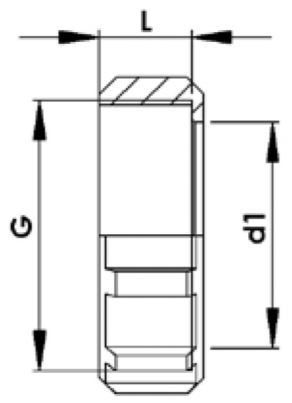 Rau Cap nut 2¾" for ARAG fittings 2"