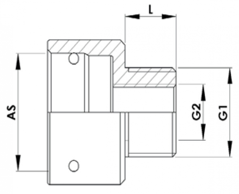 Rau pull over spout AS40 with male | female thread