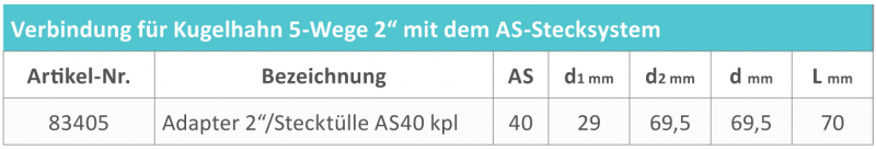 RAU Adapter 2" to plug-in fitting AS40 for 5-way ball valve