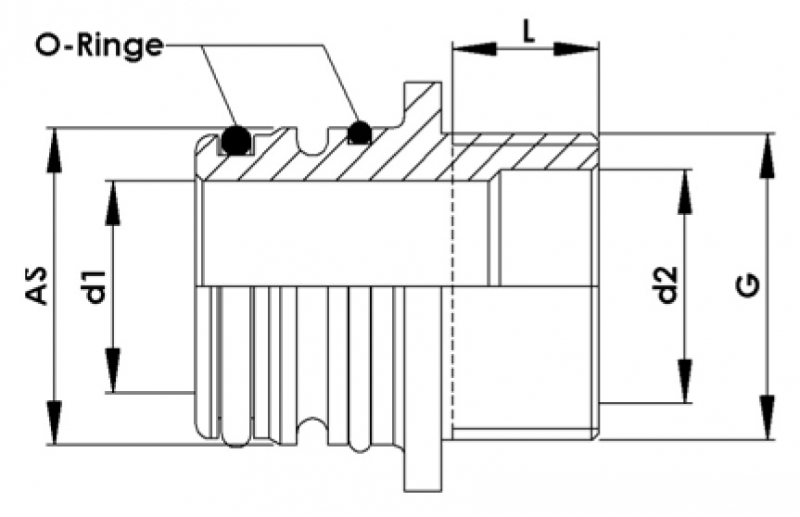 Rau plug-in fittings AS50 with male thread