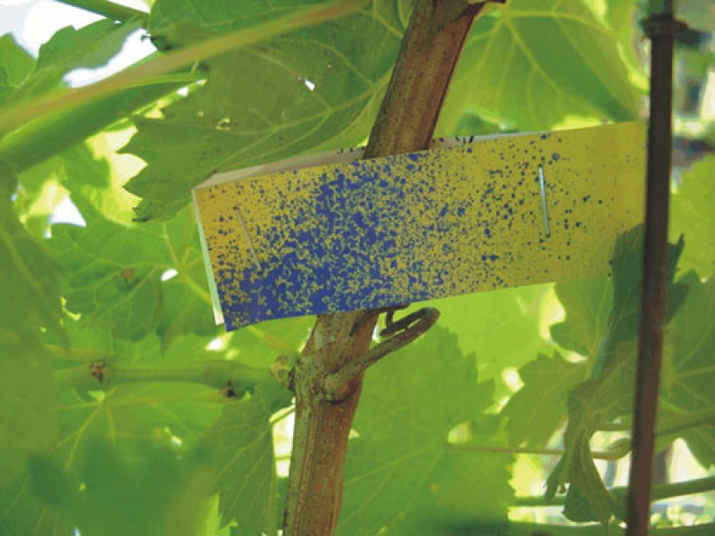 Water sensitive drop test paper