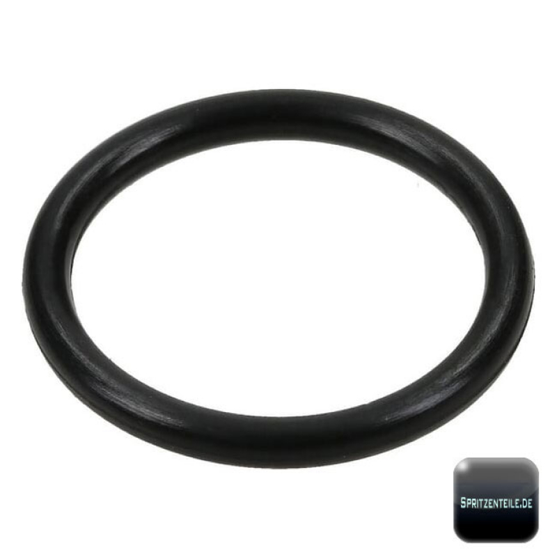 Rau O-Ring RG00005205