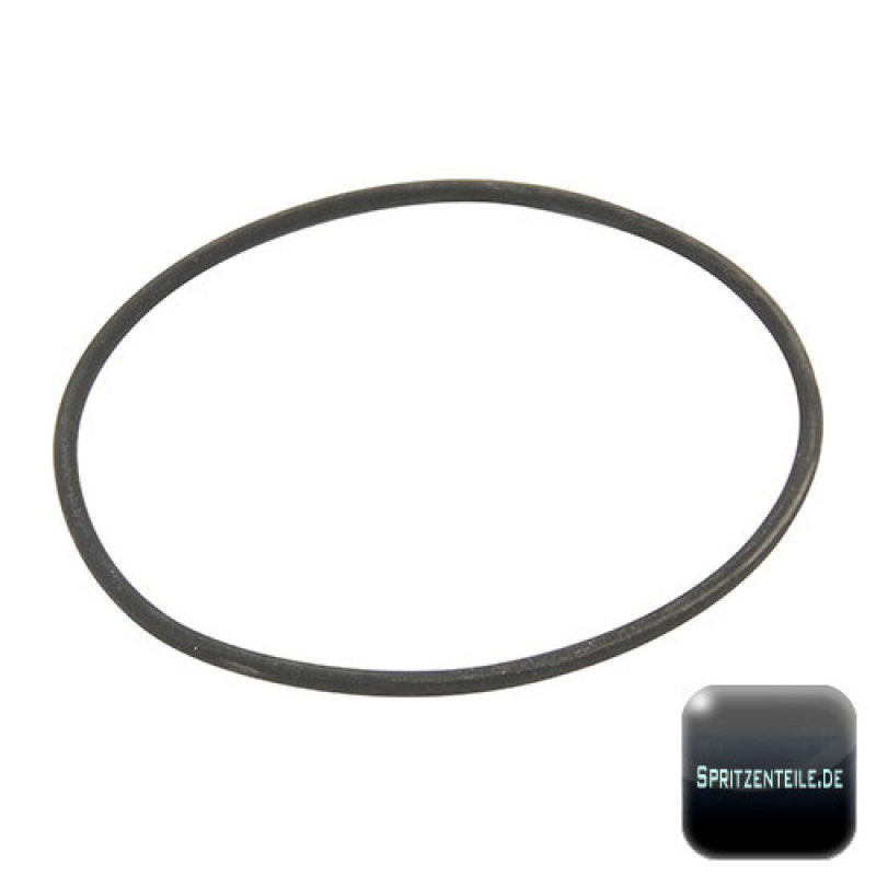 RAU O-Ring RG00031156 for filter tap U2