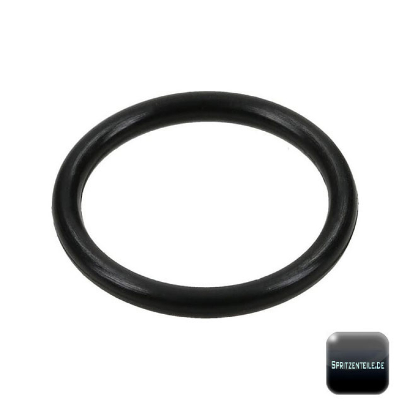 Rau O-Ring RG00031009