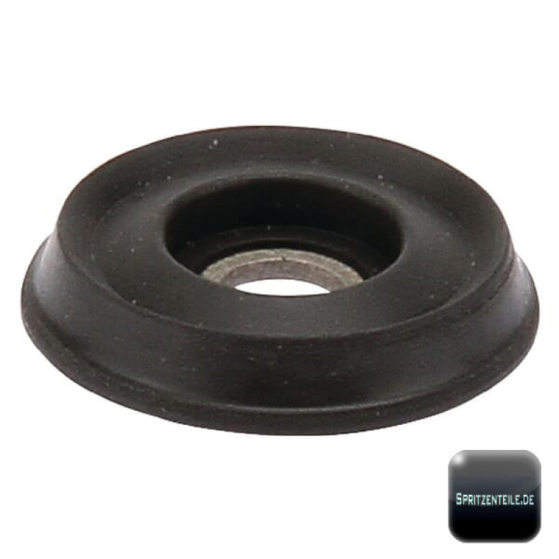 RAU valve plate RG00032944 complete for EV