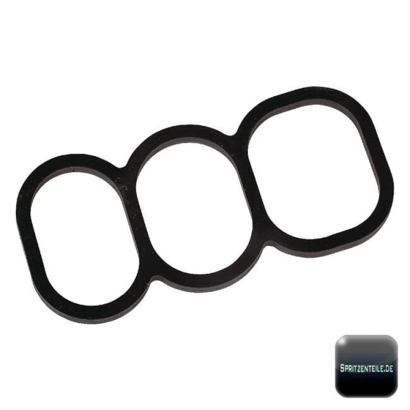 Rau Frame Gasket EVD RG00047073