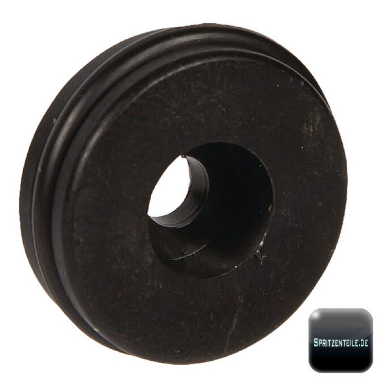 Rau retaining washer ERM RG00047498